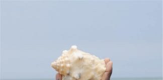 关于大海的英文诗句