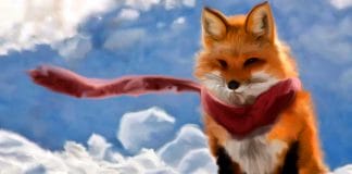 Vol.2 | 狐狸宝宝,请不要欺负大灰狼!