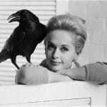 《群鸟(1963)》–经典英文台词、英语剧本原文翻译、中英文字幕对照