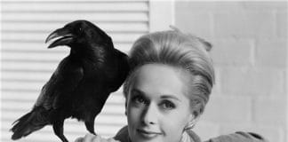 《群鸟(1963)》–经典英文台词、英语剧本原文翻译、中英文字幕对照