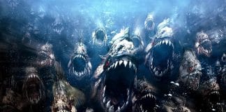 《食人鱼》影评:Sexy dirty fun