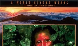 《天地玄黄》影评:人类从哪来为什么来到哪去以及怎么去