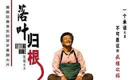 根:《落叶归根》一句话影评