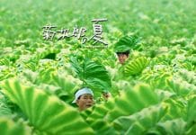 暑假给孩子们的电影清单