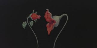 平克·弗洛依德:迷墙(1982)– 经典英文台词、英语剧本原文翻译、中英文字幕对照