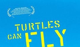 When The Children Cry:再看一遍《会飞的乌龟》