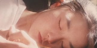 《燕尾蝶》详细剧情