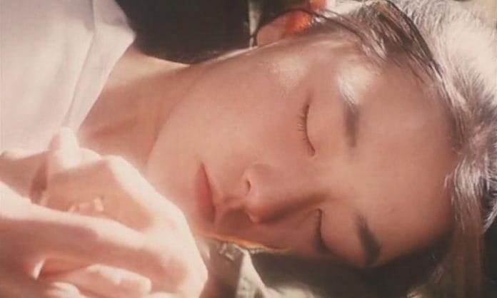 Swallowtail Butterfly 2