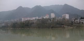 laura pergolizzi《Into The Wild》