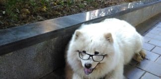 顶楼的马戏团《上海童年》(上海)