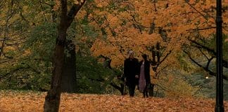 像一片落叶飘过,有时很近有时很远