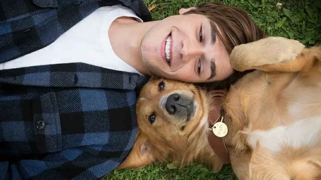 《一条狗的使命》–经典英文台词、英语剧本原文翻译、中英文字幕对照